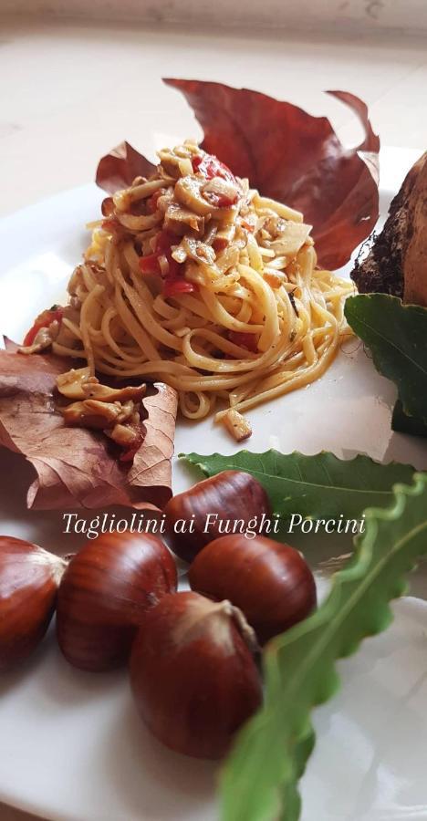 Hotel Romantica Rimini Ngoại thất bức ảnh